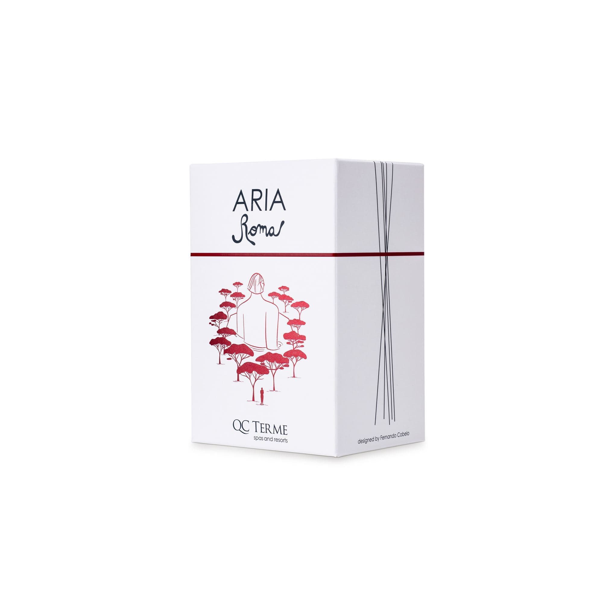 Aria roma 250 ml - v20 art edition