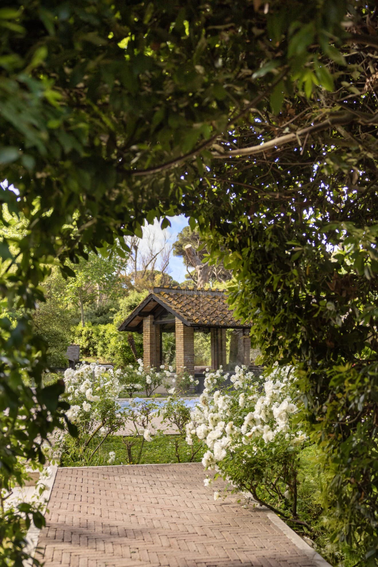 Roma